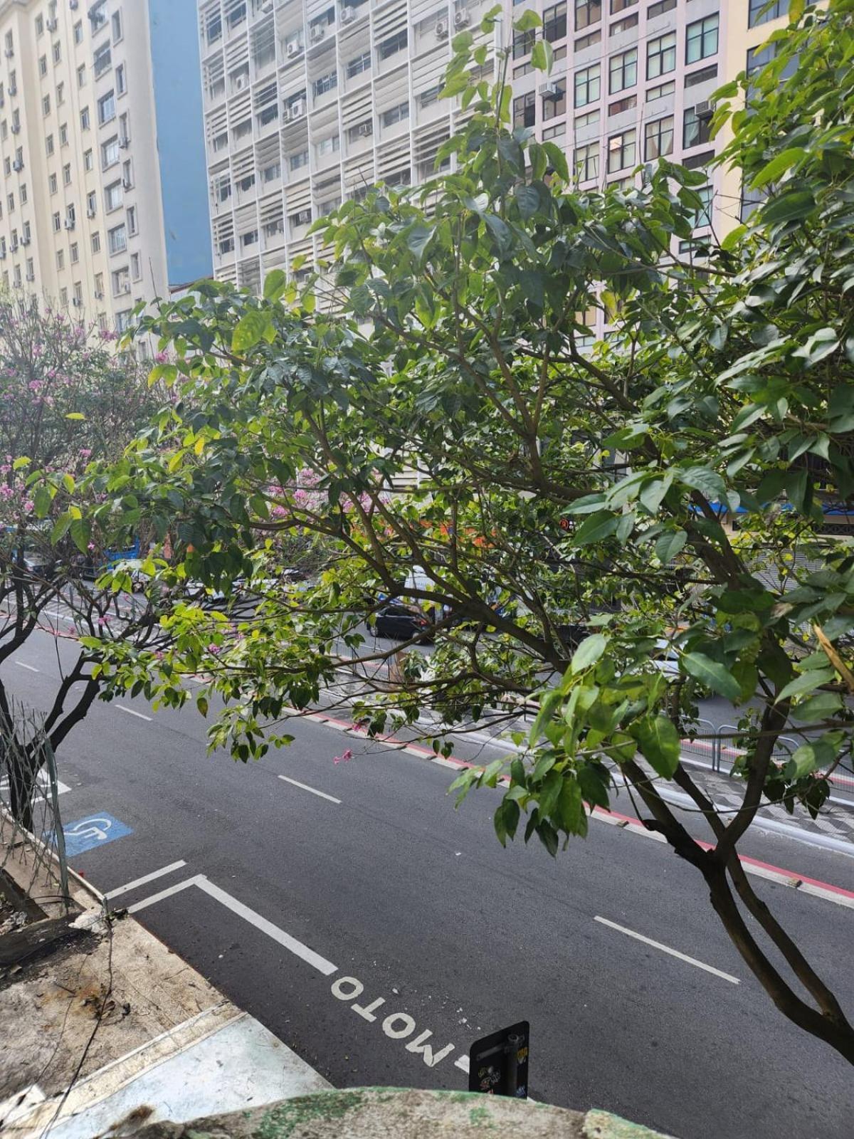 Fujima Hostel São Paulo Eksteriør billede